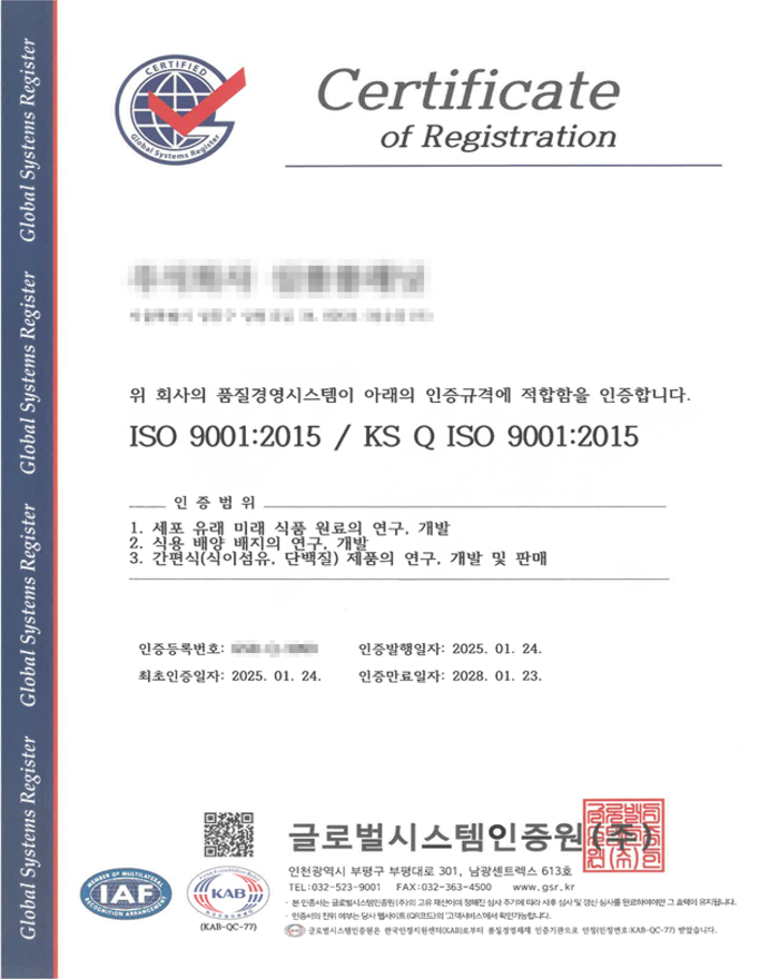 ISO 9001 인증